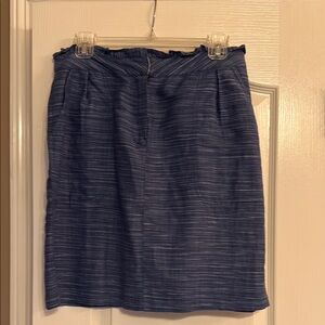 Blue Striped Women's Skirt